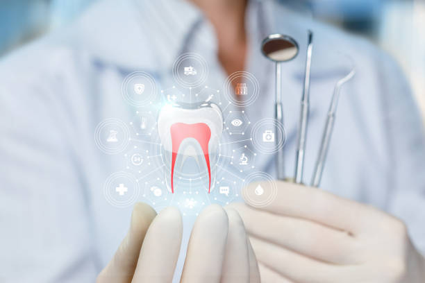 Why Choose Us for Your Dental Needs in Avilla, IN